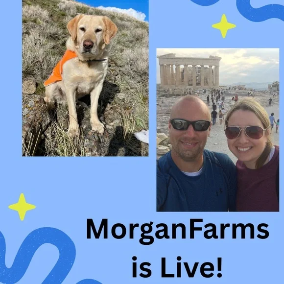 MorganFarms is LIVE! - Picture 1 of 11
